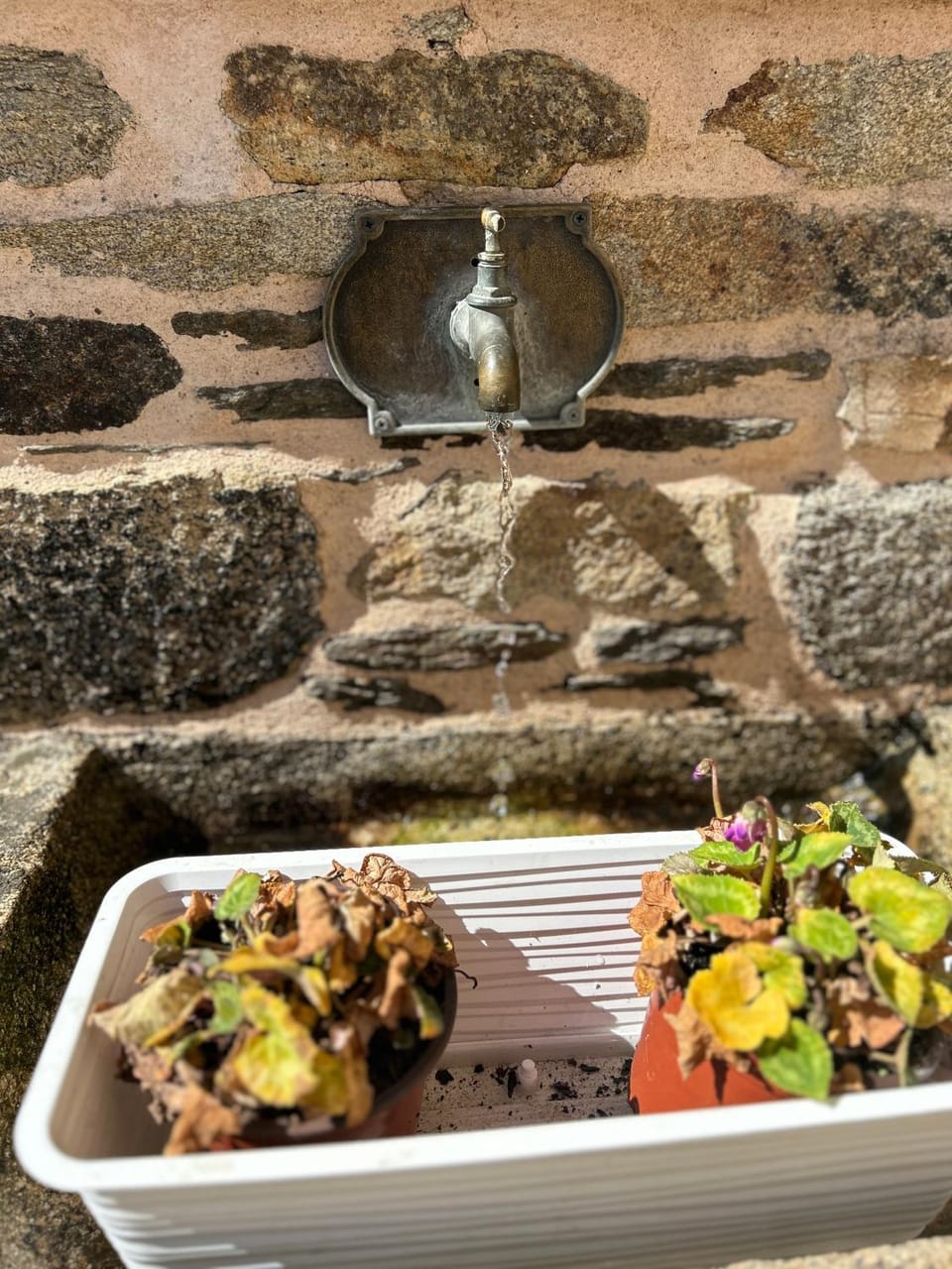 Caraxolas Country House in Galicia