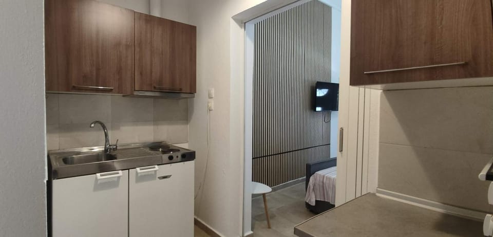 Kitchen or kitchenette, kitchen