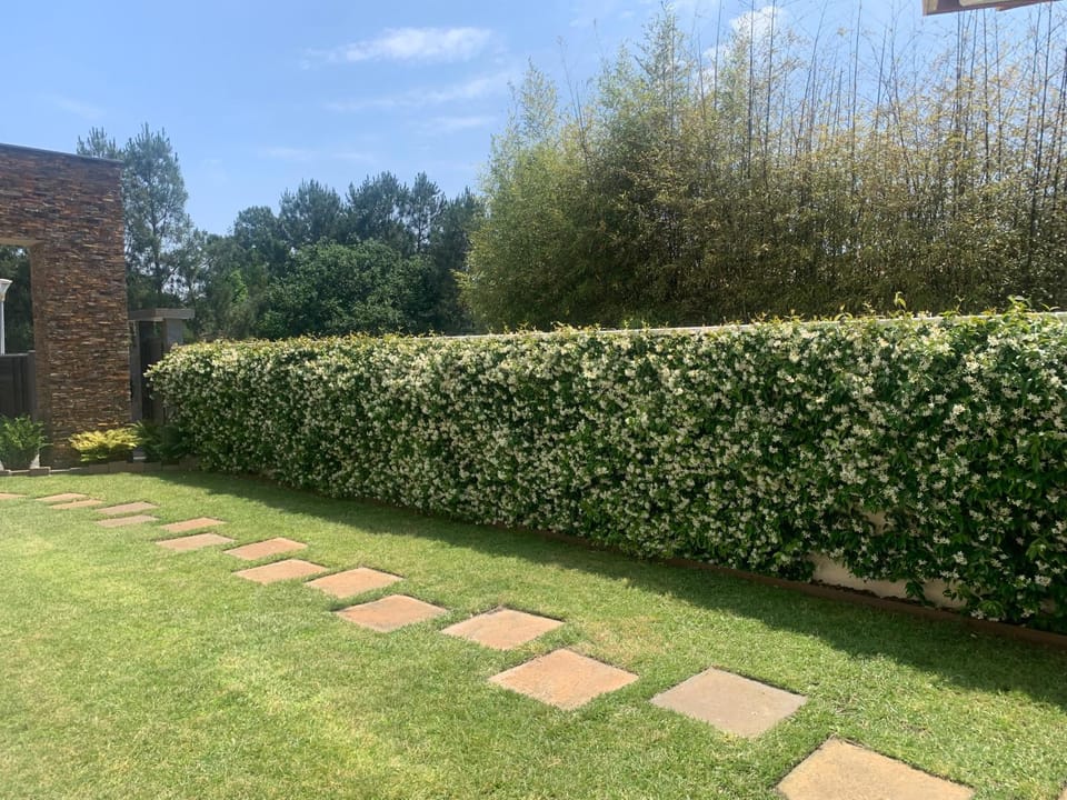 Facade/entrance, Garden