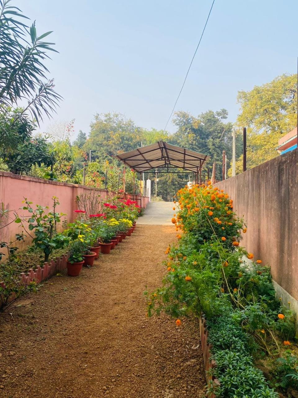 Garden, Garden