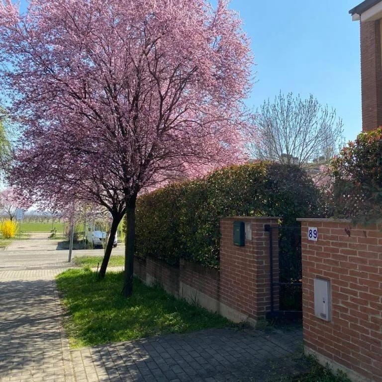 SUITE TRAVEL HOME Villa in Emilia-Romagna