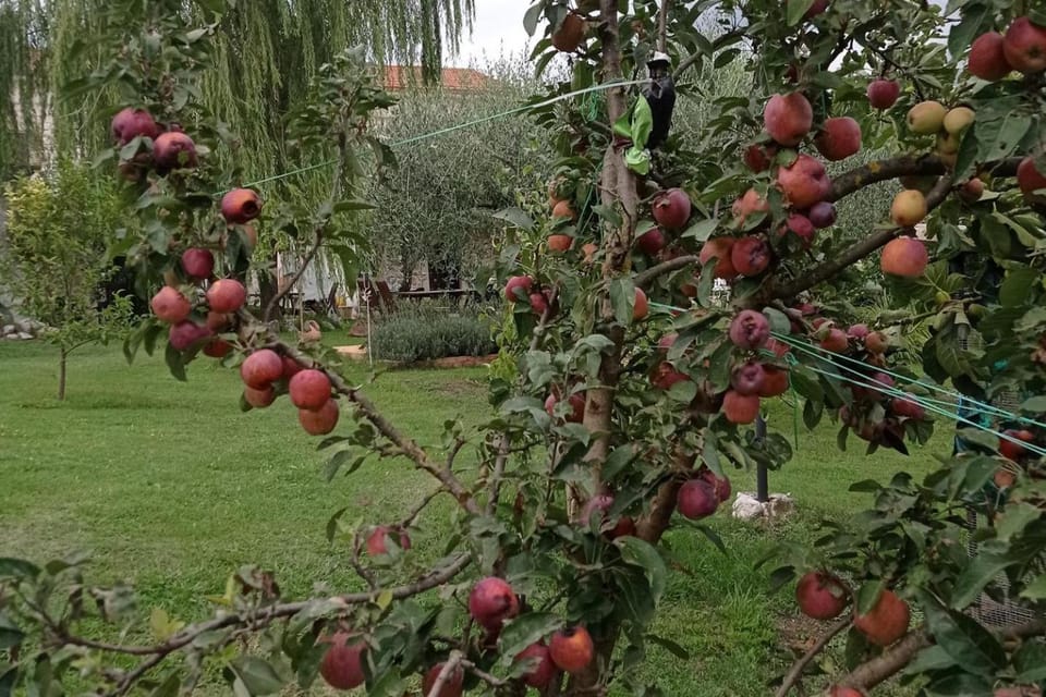 1-Bed Apartment Sleeps 2 - Free Parking and Garden Apartment in Lazio