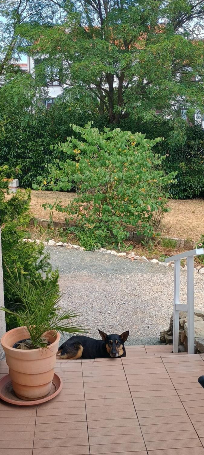 Day, Garden view