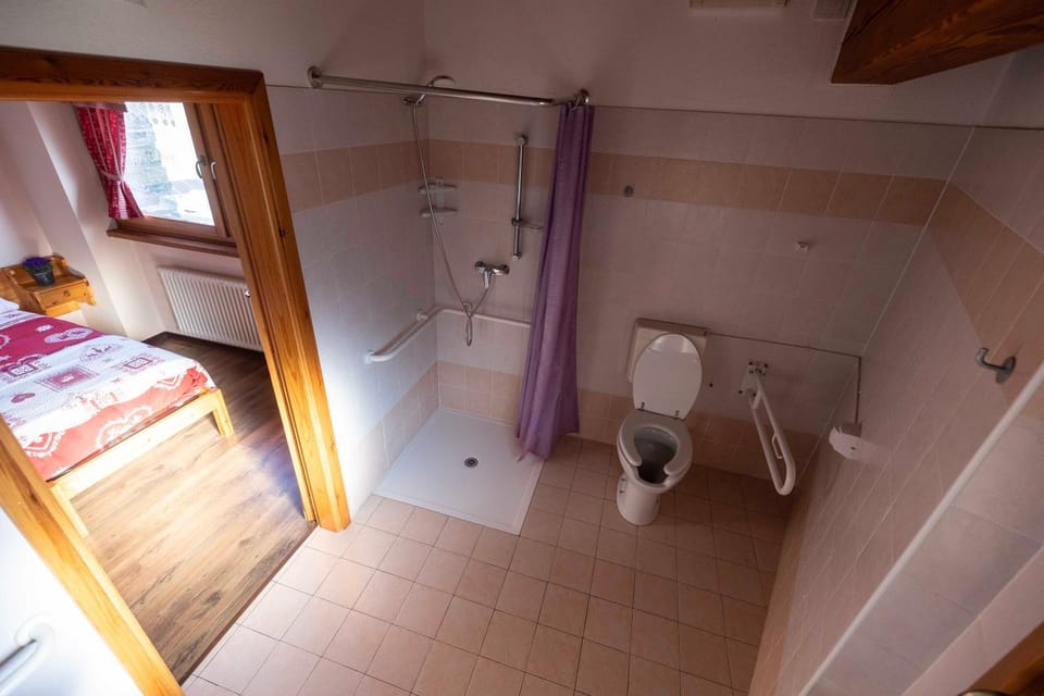 Shower, Toilet, Bathroom, bidet