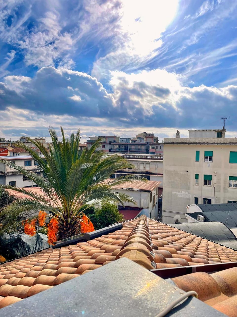 City view