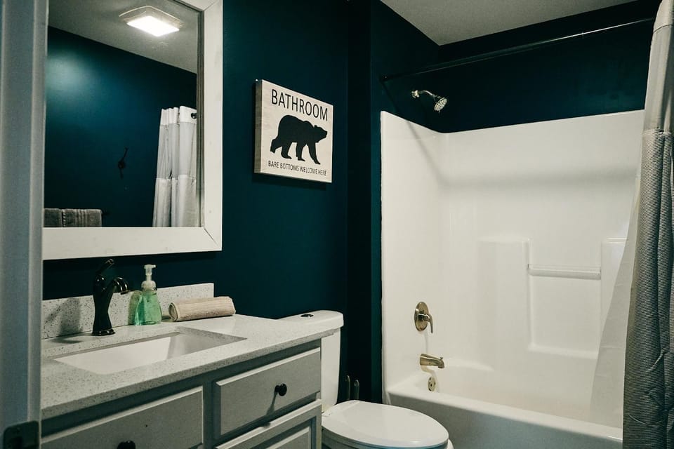 Shower, Toilet, Bathroom, Bath, hair dryier, towels