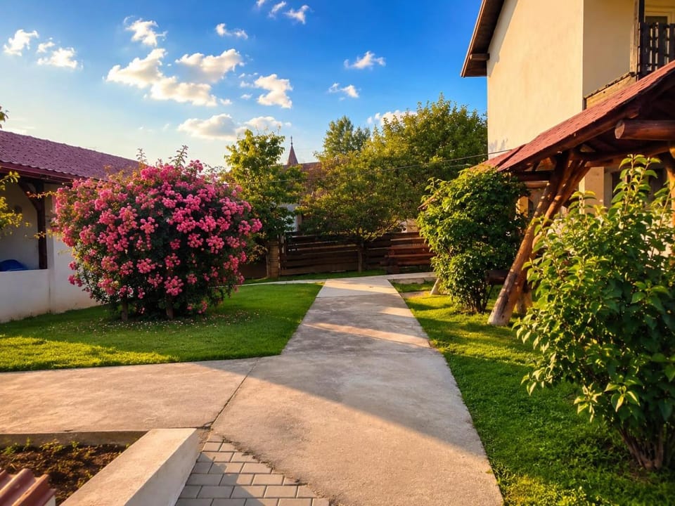 Pensiunea Dimitrie Bed and Breakfast in Romania