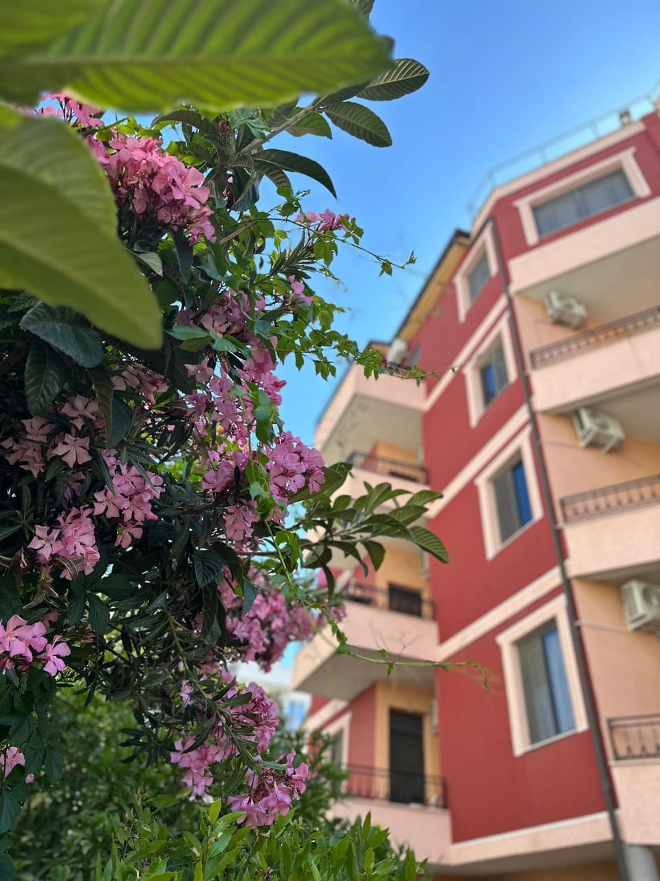 Property building, Day, Garden