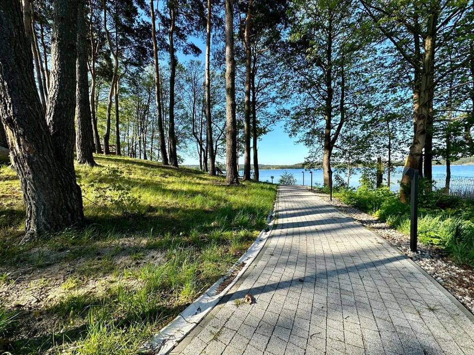 Lake view