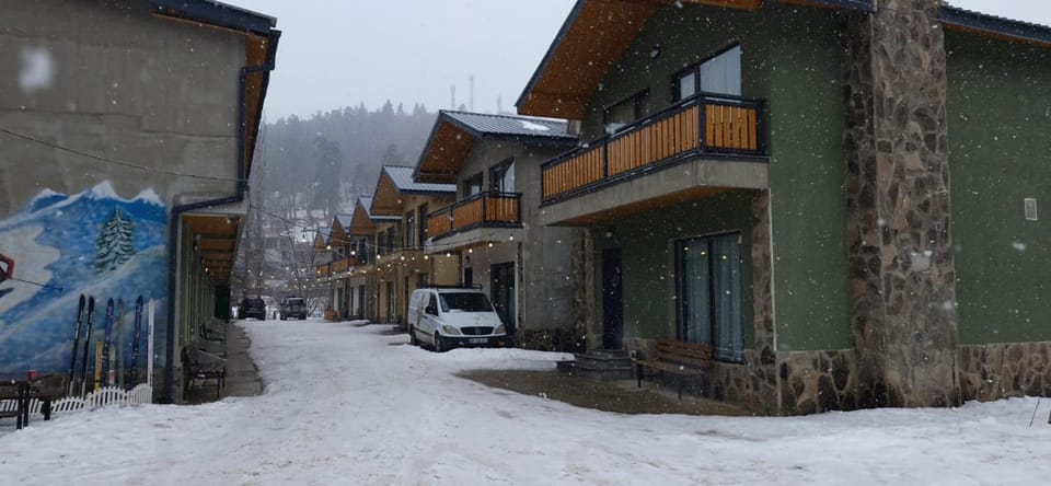 Greenfield Bakuriani, Mountain Villas & Homes House in Georgia