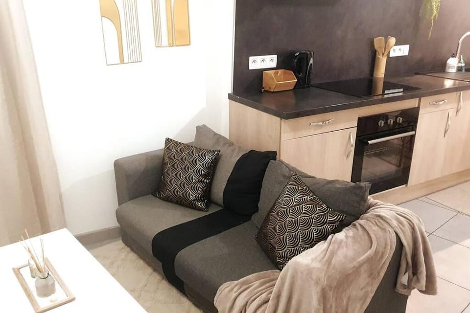 COSY CLIM CENTRE VILLE Apartment in Provence