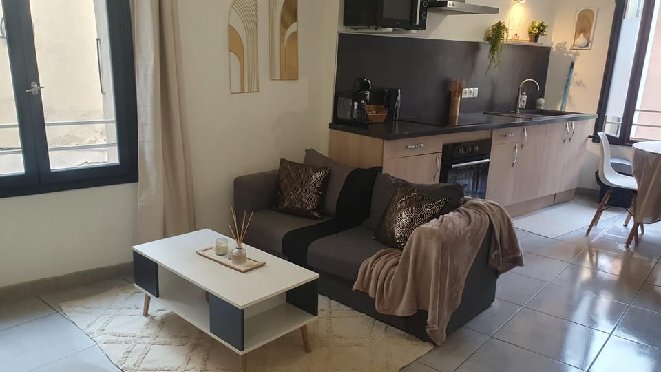 COSY CLIM CENTRE VILLE Apartment in Provence
