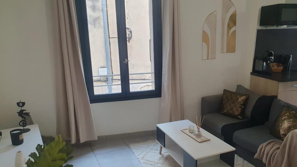 COSY CLIM CENTRE VILLE Apartment in Provence