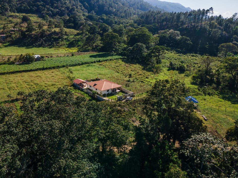 Sunflower village villa girasoles Villa in Jarabacoa