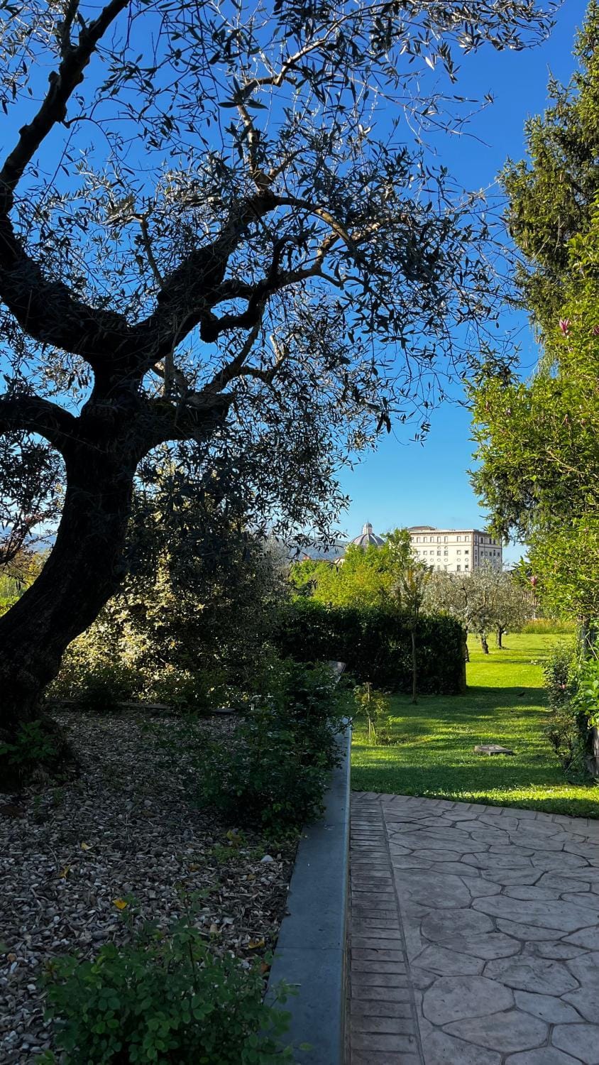 Property building, Garden, Garden view
