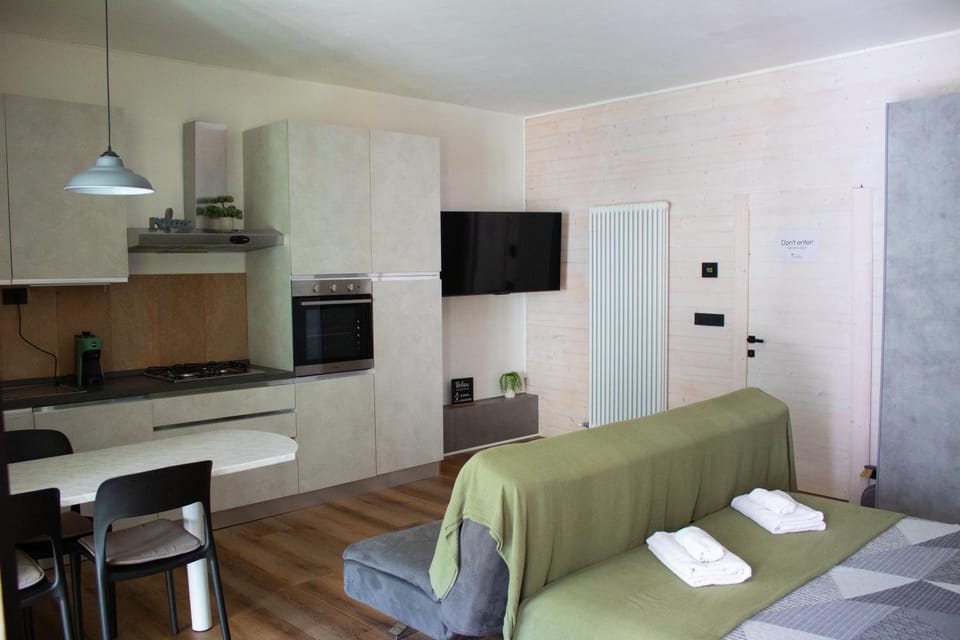 Bed, TV and multimedia, Kitchen or kitchenette, Living room, Photo of the whole room, Seating area, oven, stove, towels