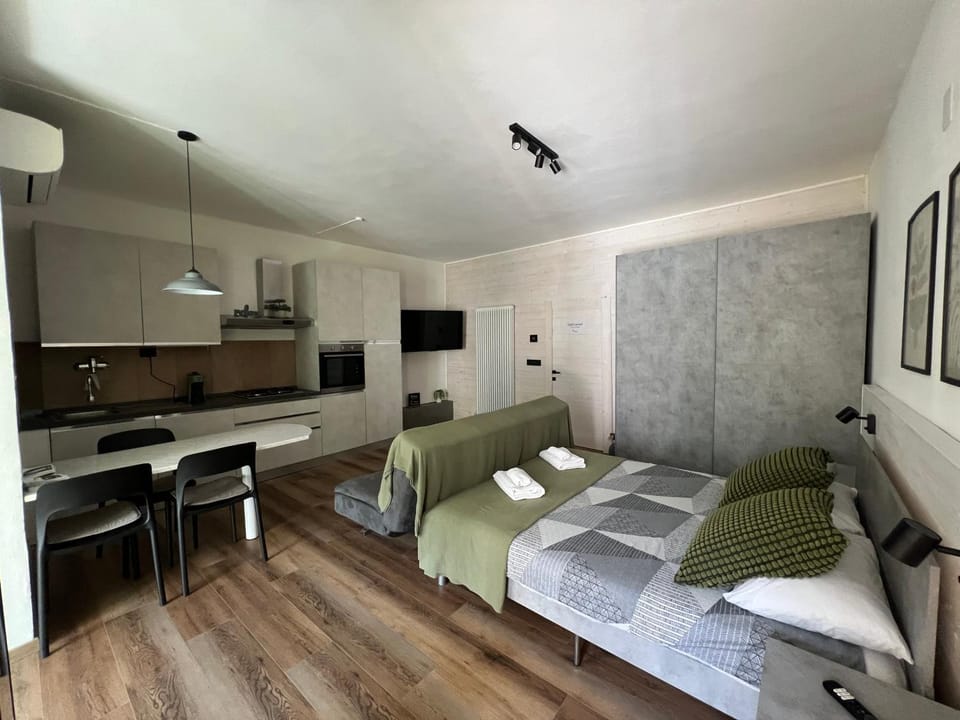 Bed, TV and multimedia, Kitchen or kitchenette, Living room, Photo of the whole room, Seating area, Dining area, Bedroom, stove