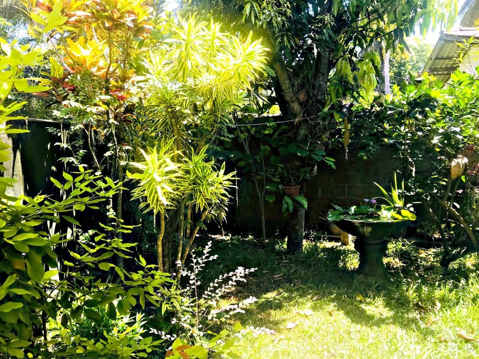 Day, Natural landscape, Garden, Garden view