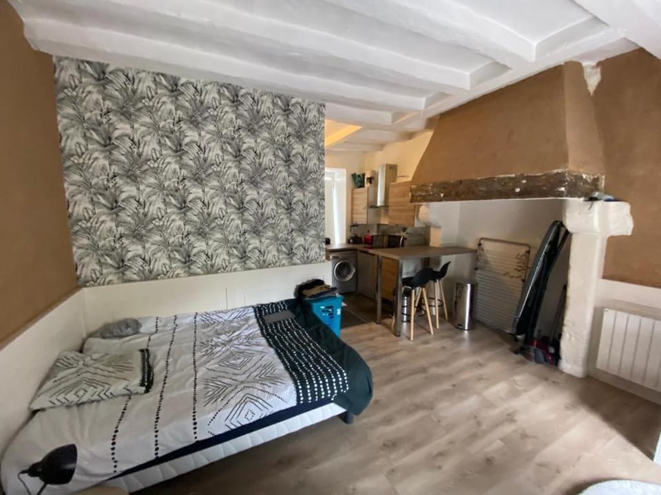 Studio meublé au pied des clochers tors Apartment in Pays de la Loire