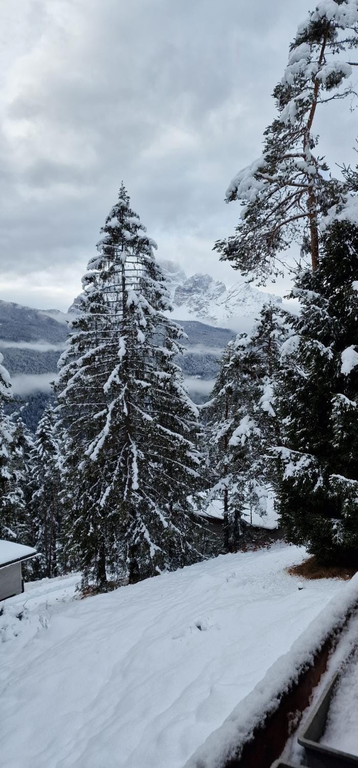Chalet Yvonne Villa in Trentino-South Tyrol