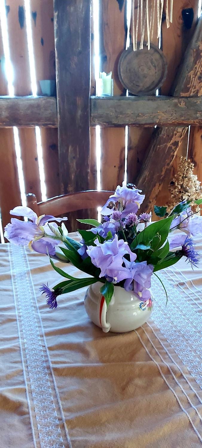Herbes et collines Vacation rental in Switzerland