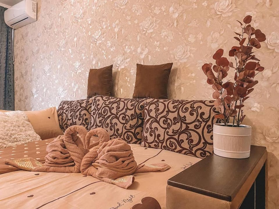 Vintage Apartment Apartment in Chișinău