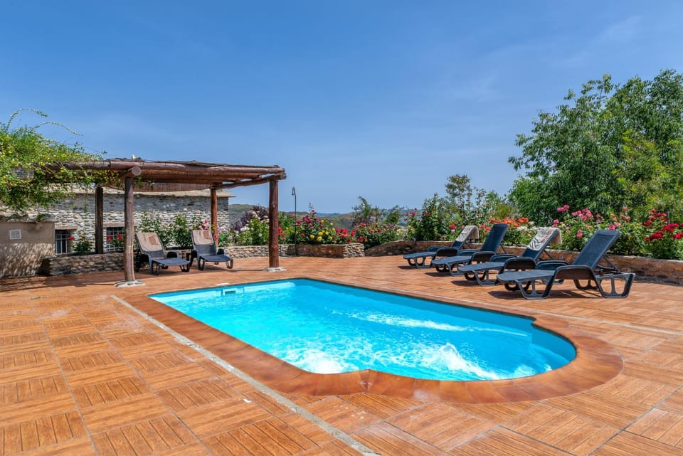 Natural landscape, Garden, Garden view, Swimming pool, sunbed