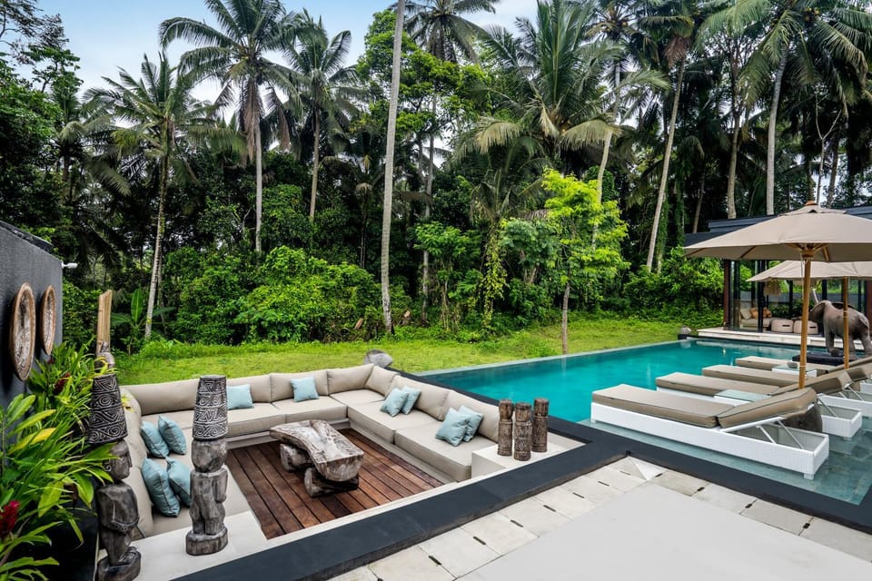 Natural landscape, Seating area, Garden view, Pool view, Swimming pool, sunbed