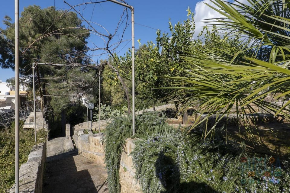 Spring, Day, Garden, Garden view