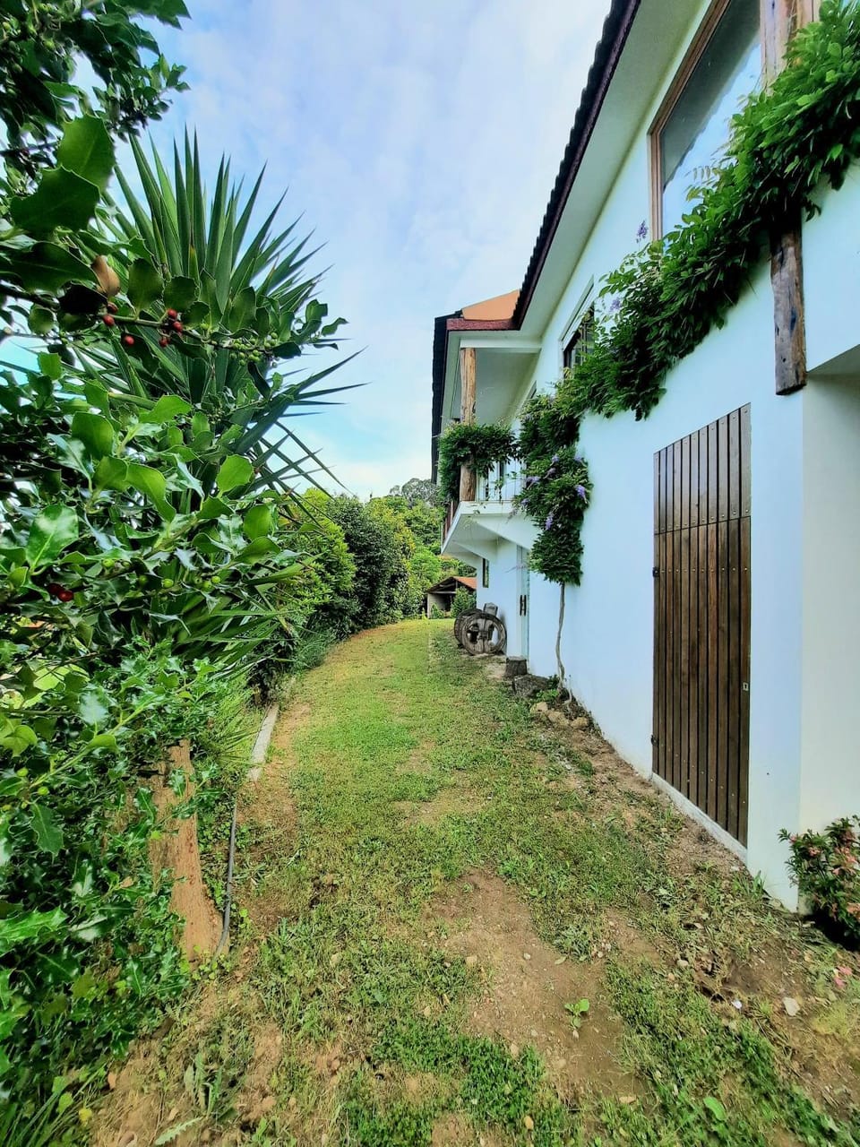 Quintinha d´Amélia House in Porto District