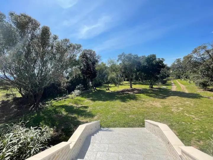 Spring, Day, Natural landscape, Garden, Garden view