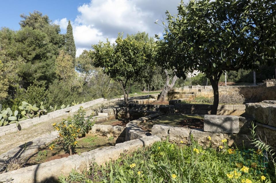 Spring, Day, Natural landscape, Garden, Garden view
