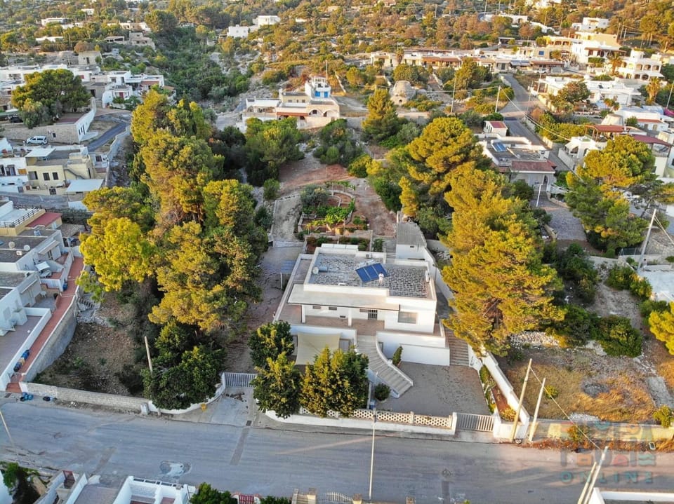 Property building, Day, Neighbourhood, Bird's eye view, City view, Street view, Location