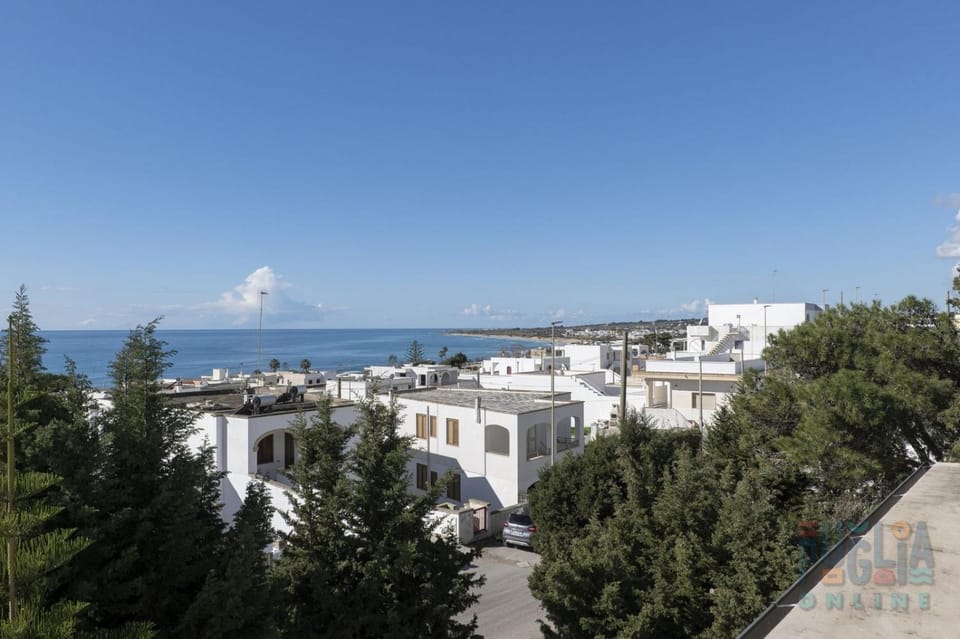 Property building, Nearby landmark, Day, Natural landscape, Bird's eye view, View (from property/room), City view, Sea view