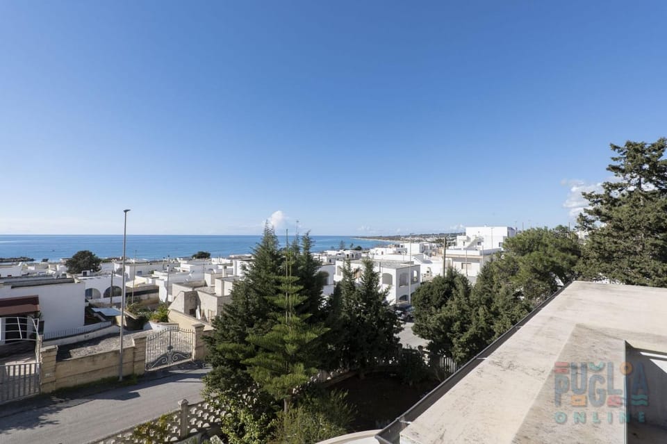 Property building, Nearby landmark, Day, Neighbourhood, Natural landscape, View (from property/room), City view, Sea view, Street view