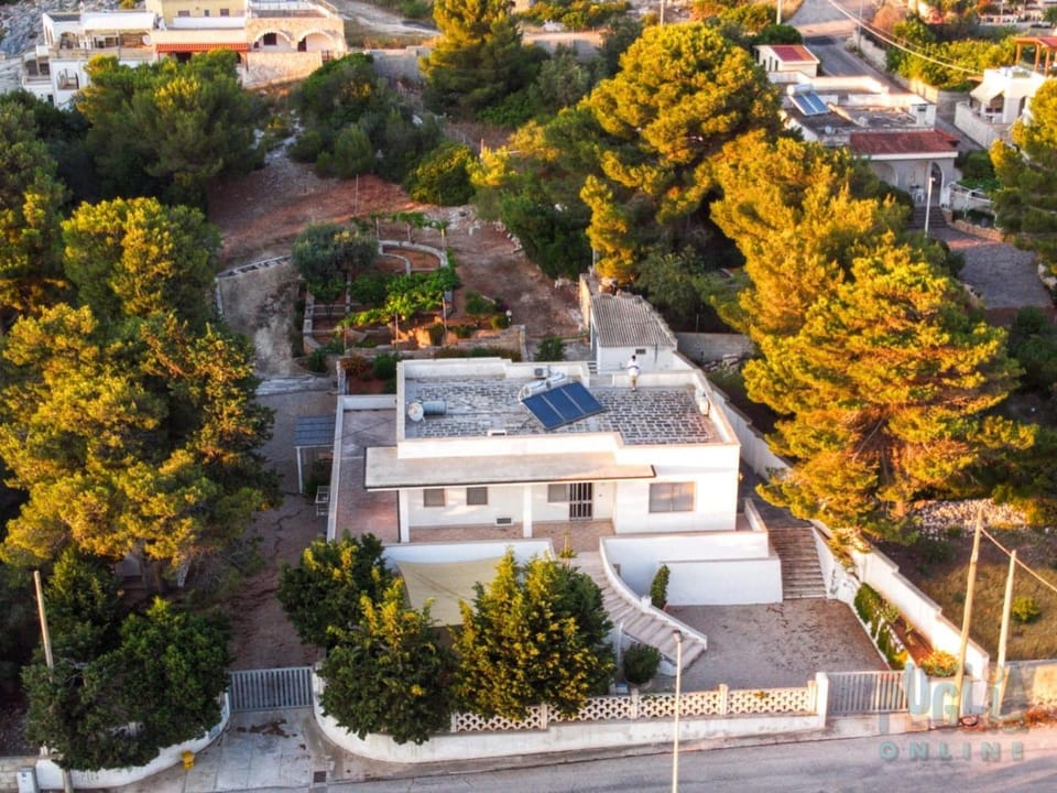 Property building, Day, Neighbourhood, Natural landscape, Bird's eye view, City view, Street view, Location