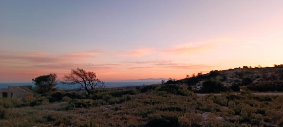 Natural landscape