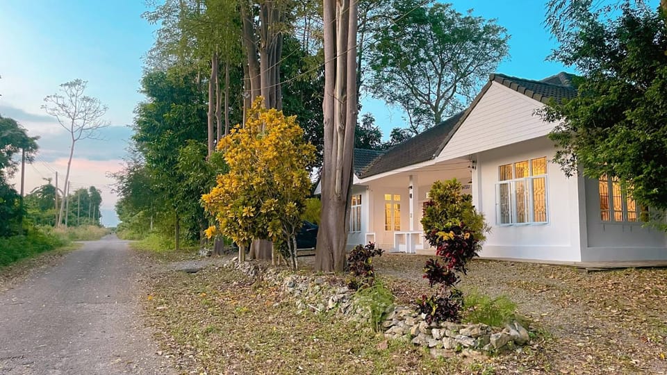 Property building, Facade/entrance, Garden, On site, Street view, Street view, Quiet street view