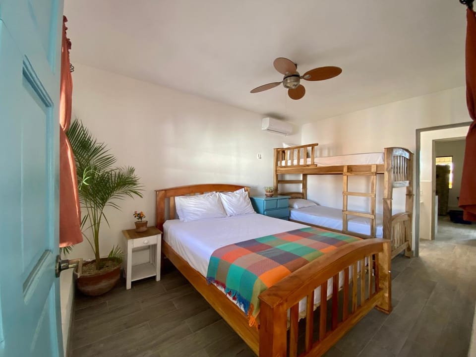 Bed, Photo of the whole room, bunk bed