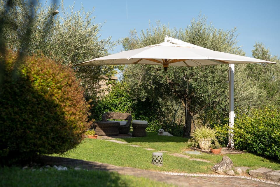 Garden, Garden view