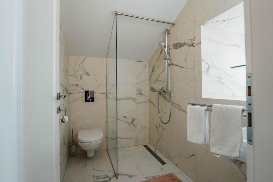 Shower, Toilet, Bathroom, towels