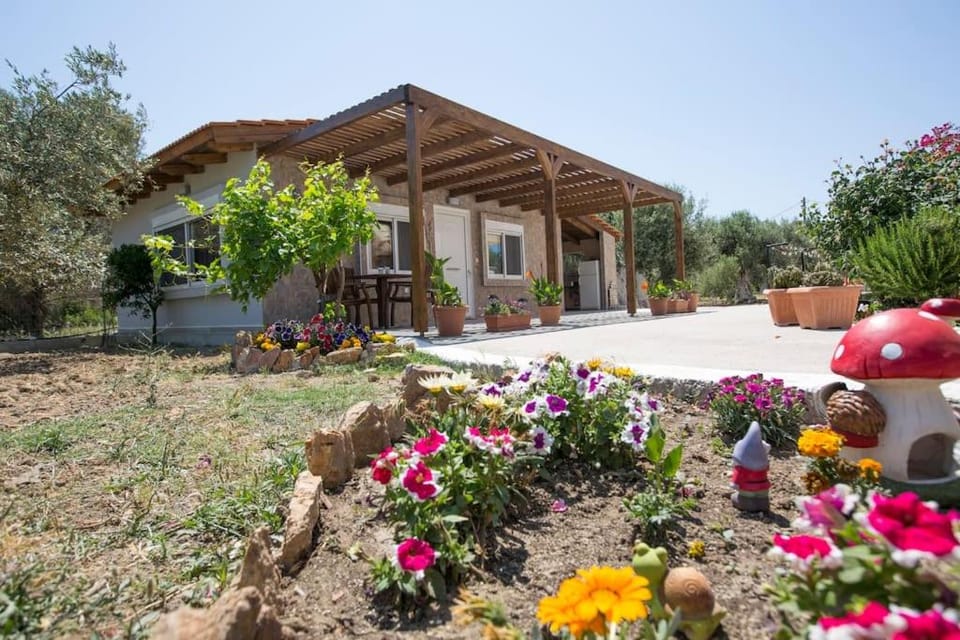 Property building, Day, Garden, Garden view