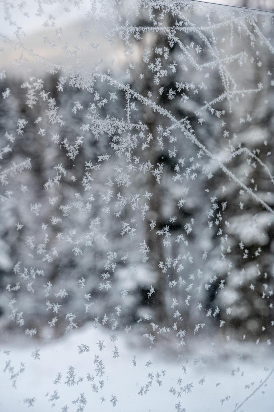 Winter, View (from property/room)