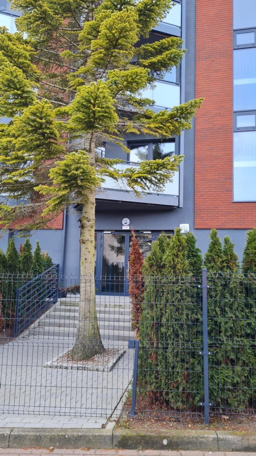 Property building, Garden, Garden view