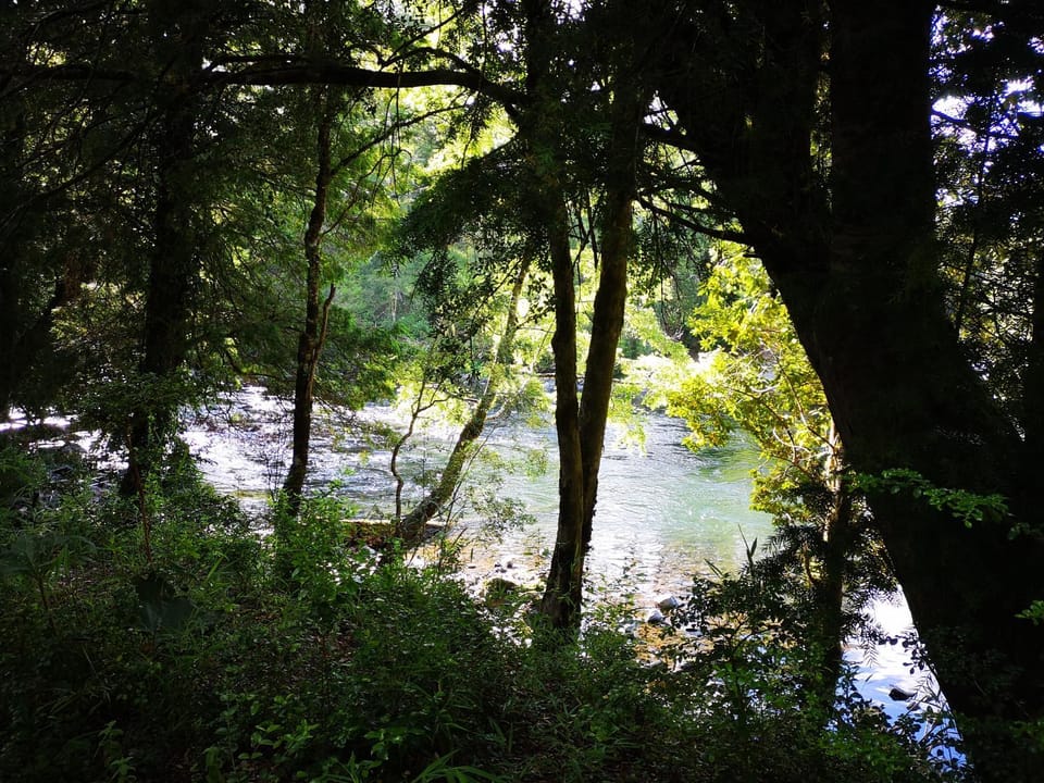 River view