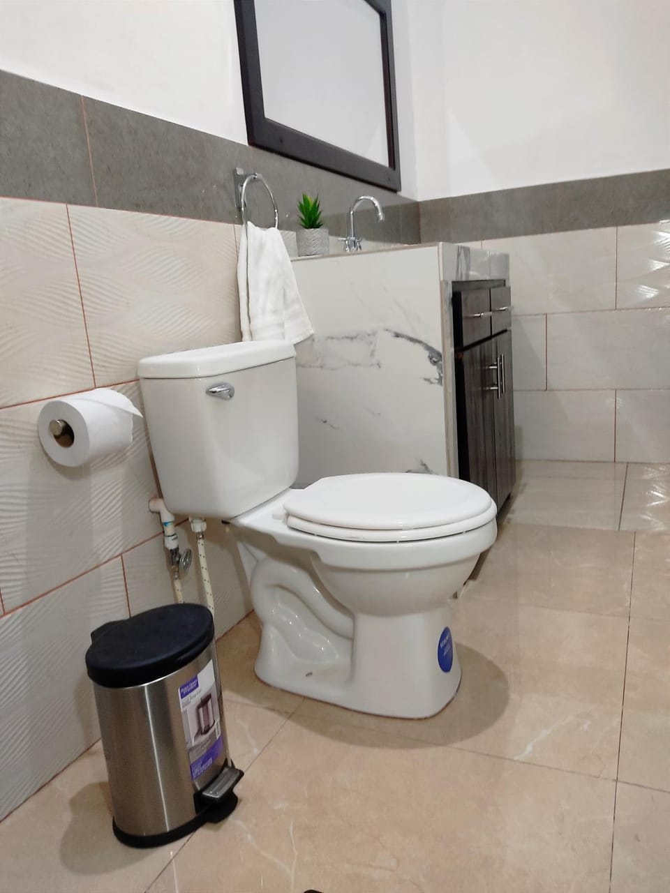 Toilet, Bathroom, bidet