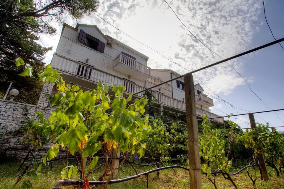 Property building, Garden, Garden view