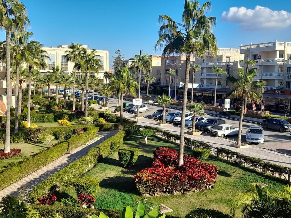 Natural landscape, Garden, Garden view, Street view
