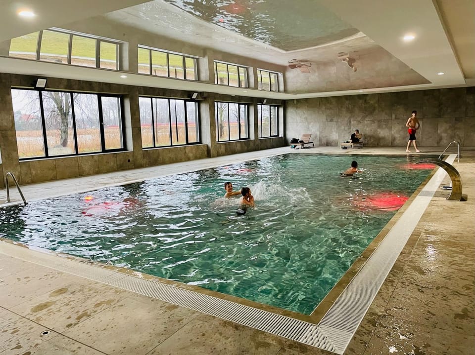 People, Pool view, Swimming pool, group of guests