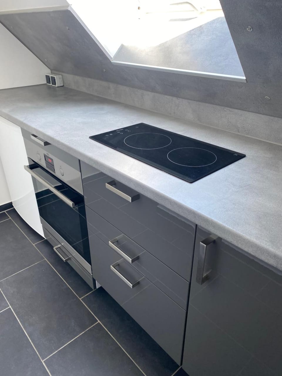 Kitchen or kitchenette, minibar, pet friendly, stove